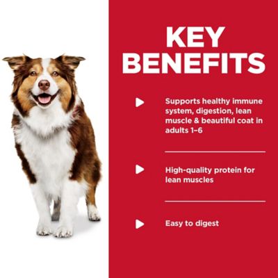 Image showing  Adult Healthy Chicken, Beef and Vegetables Chunks Wet Dog Food Variety Pack, 12.5 oz. Can, Pack of 12