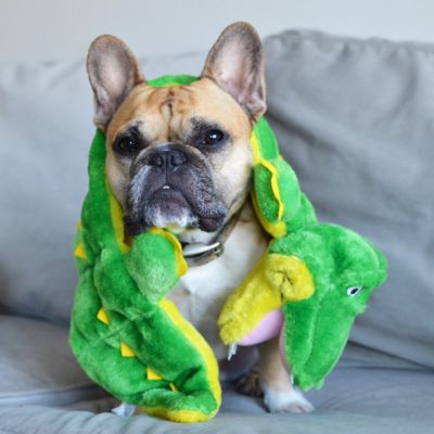 Image showing 7 th Outward Hound Squeaker Matz Gator Dog Toy