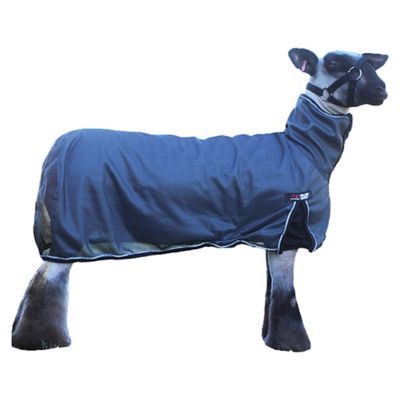 Sullivan Supply Cool Tech Spandex Sheep Blanket, UV Protection, Anti-Mosquito