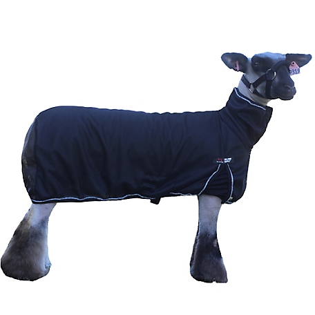 Sullivan Supply Cool Tech Sheep Blanket, UV Protection, Anti-Mosquito