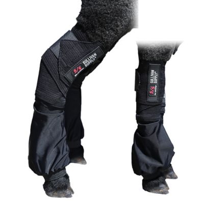 image of a Livestock Boots & Leg Wraps