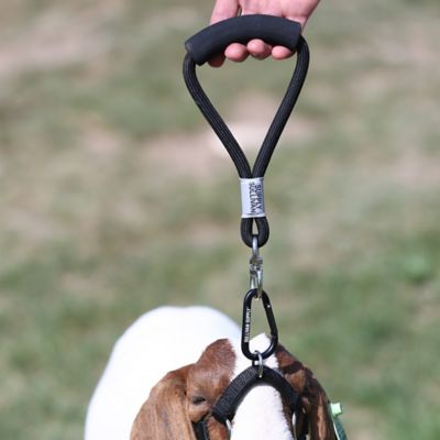 Image showing  Nylon Buddy System Walking Lamb and Goat Lead with Grip