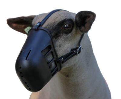 plastic muzzle