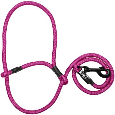 Image showing 1 th Sullivan Supply Nylon Snap Lead Sheep and Goat Halter