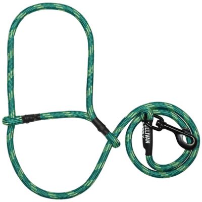 Image showing  Nylon Snap Lead Sheep and Goat Halter