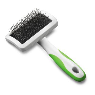 poodle brush