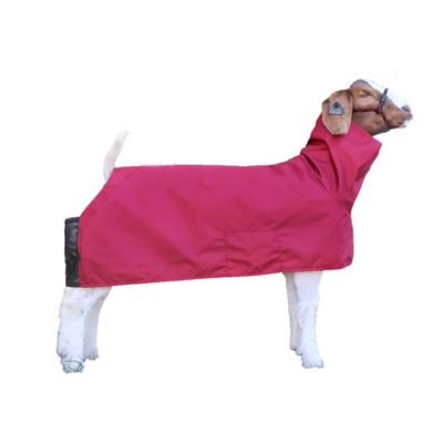 Product TrademarkColor1