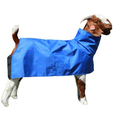 Image showing  Tough Tech 600D Fabric Goat Blanket