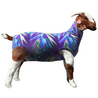 Product TrademarkColor1