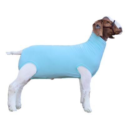 Product TrademarkColor1