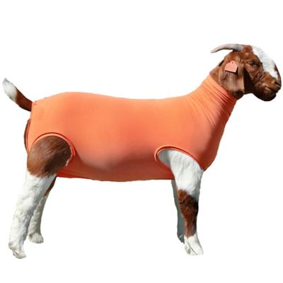 Image showing 0 th Sullivan Supply Performance Cotton Goat Tube