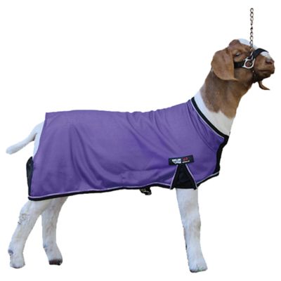 Image showing  Cool Tech Spandex Goat Blankets