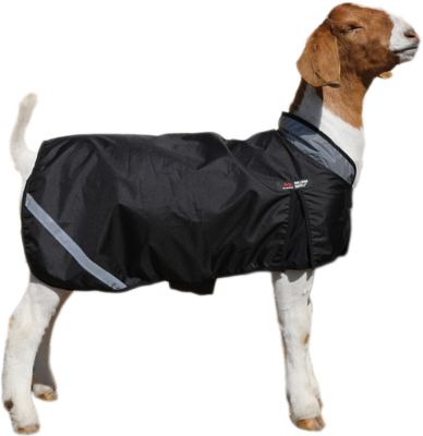 Sullivan Supply Weather Shield Insulated Blanket