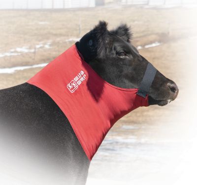 Sullivan Supply Eskimo Cooling Collar for Cattle