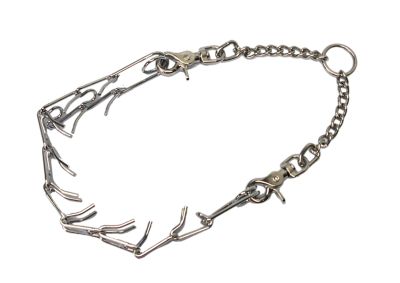 Image showing  Fullblood Prong Collar Doe