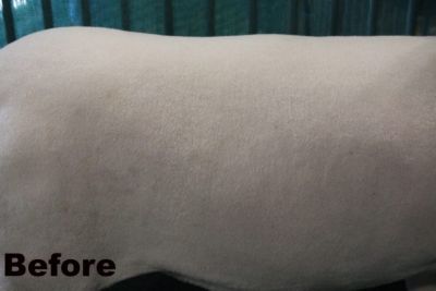 Image showing  Sugar Coat Natural Show Day Whitening Spray