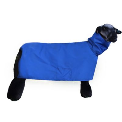 Product TrademarkColor1