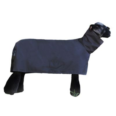 Product TrademarkColor1