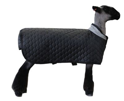 Image showing  600D Polyester Thermal Sheep Blanket