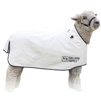 Sullivan Supply Canvas Lamb Blanket