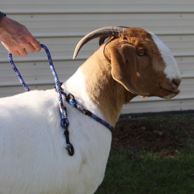 Sullivan Supply Goat Neck Tie, Interlocking O-Rings