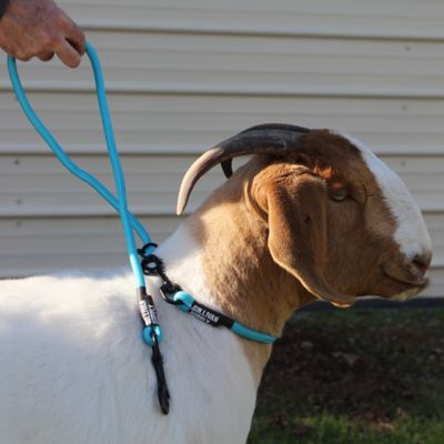 Sullivan Supply Goat Neck Tie, Interlocking O-Rings