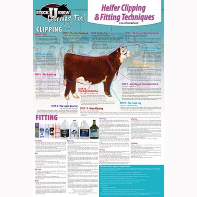 Image showing 9 th Sullivan Supply Cattle Grooming Starter Kit
