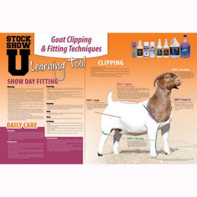 Image showing 10 th Sullivan Supply Goat Grooming Starter Kit