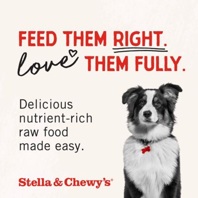 Image showing 6 th Stella & Chewy's Freeze-Dried Raw Coated Kibble Lamb Recipe Dry Dog Food