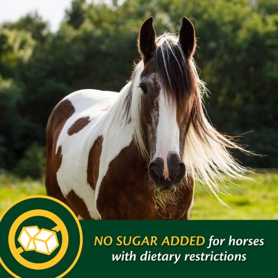 Image showing  Weight Builder Horse Supplement, 9.4 lb.