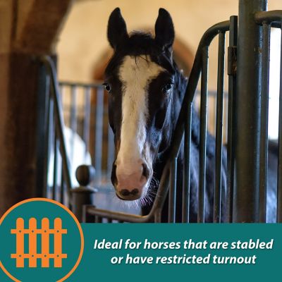 Image showing  Cough Free Pellets for Horses, 1.75 lb.