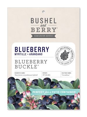 Bushel and Berry Blueberry Buckle