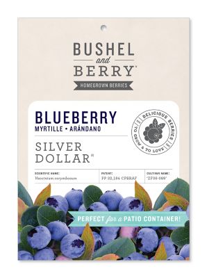 Bushel and Berry Blueberry Silver Dollar