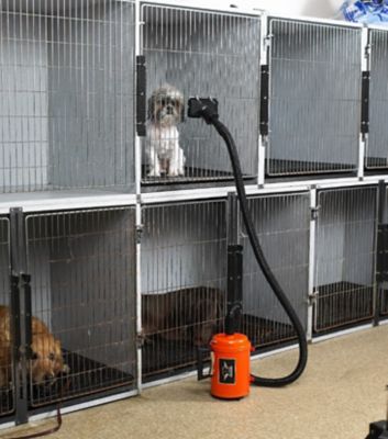 Image showing  4.0 High-Powered 2-Speed Pet Dryer