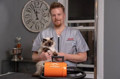 Image showing  4.0 High-Powered 2-Speed Pet Dryer