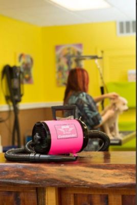 Image showing  4.0 High-Powered 2-Speed Pet Dryer