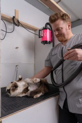 Image showing  4.0 High-Powered 2-Speed Pet Dryer