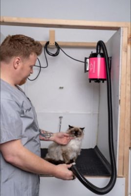 Image showing  4.0 High-Powered 2-Speed Pet Dryer