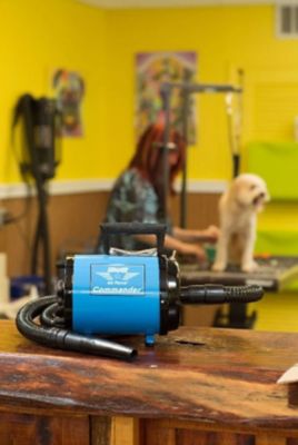 Image showing  4.0 High-Powered 2-Speed Pet Dryer