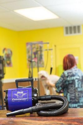 Image showing  4.0 High-Powered 2-Speed Pet Dryer