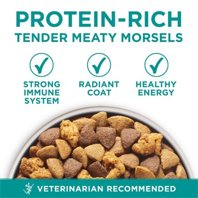 Image showing  Plus Adult Digestive Health Formula Chicken Dry Dog Food