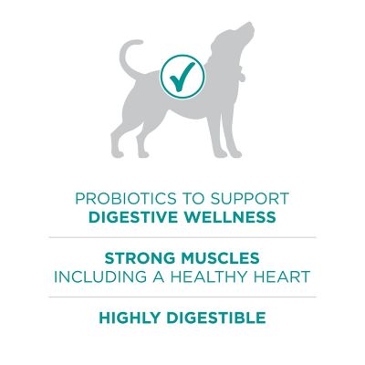 Image showing  Plus Adult Digestive Health Formula Chicken Dry Dog Food