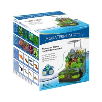 Image showing  Square Desktop Aquarium Planting Fish Tank