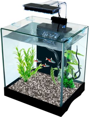 Penn-Plax Glass Fish Tank Aquarium Kit with LED Light, 3.2 gal.