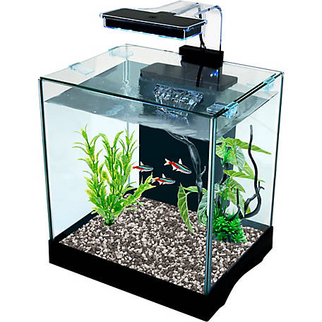 Penn-Plax Glass Fish Tank Aquarium Kit with LED Light, 3.2 gal.