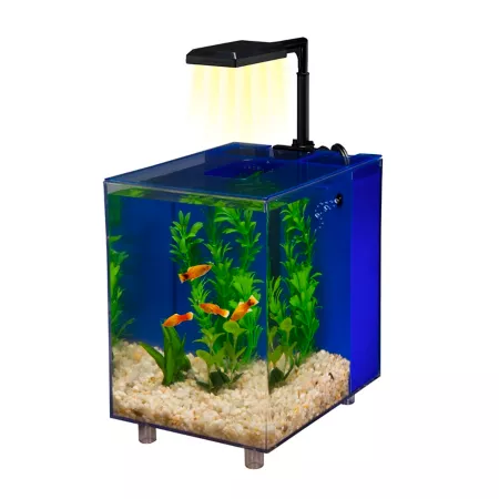 Penn-Plax Prism Desktop Aquarium Kit with LED Light 2 gal Blue Aquariums