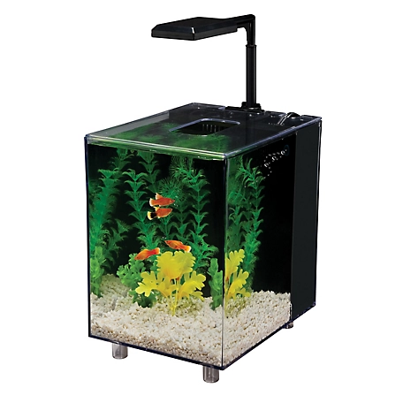 Penn-Plax Prism Desktop Fish Tank Aquarium Kit with LED Light, 2 gal., Black