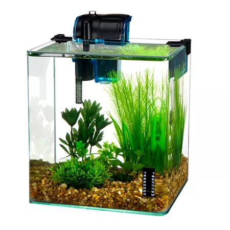 Vertex Penn-Plax Shrimp Tank Aquarium Kit 2.7 gal. Aquariums