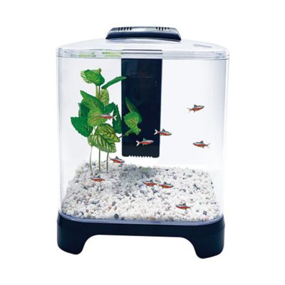 Image showing  Rectangular Betta Fish Tank Kit with LED Light, 1.5 gal.