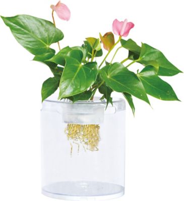 Image showing  1.4 gal. Aquaponic Fish Tank Aquarium, Large